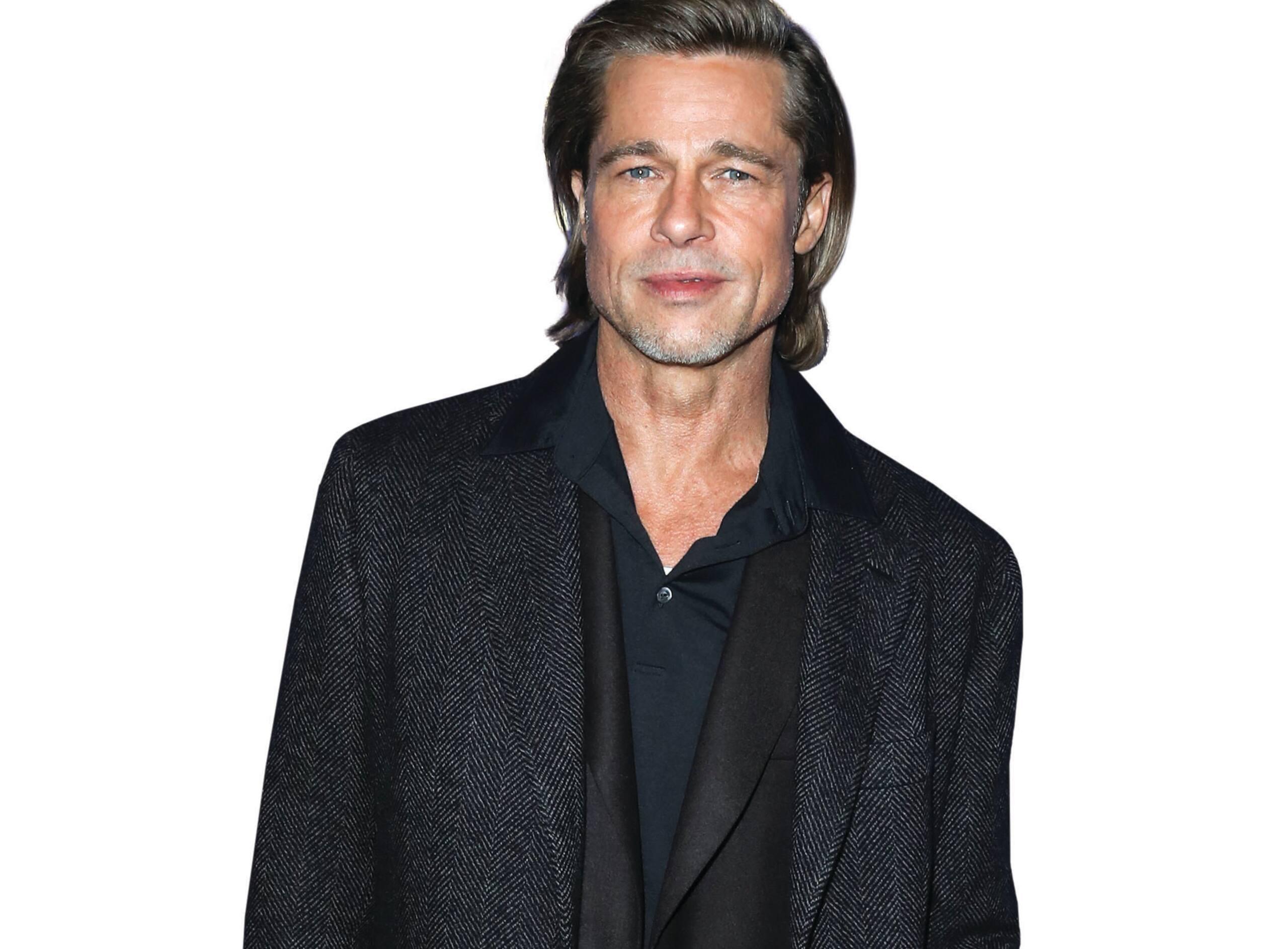 Brad Pitt demande la garde partagée