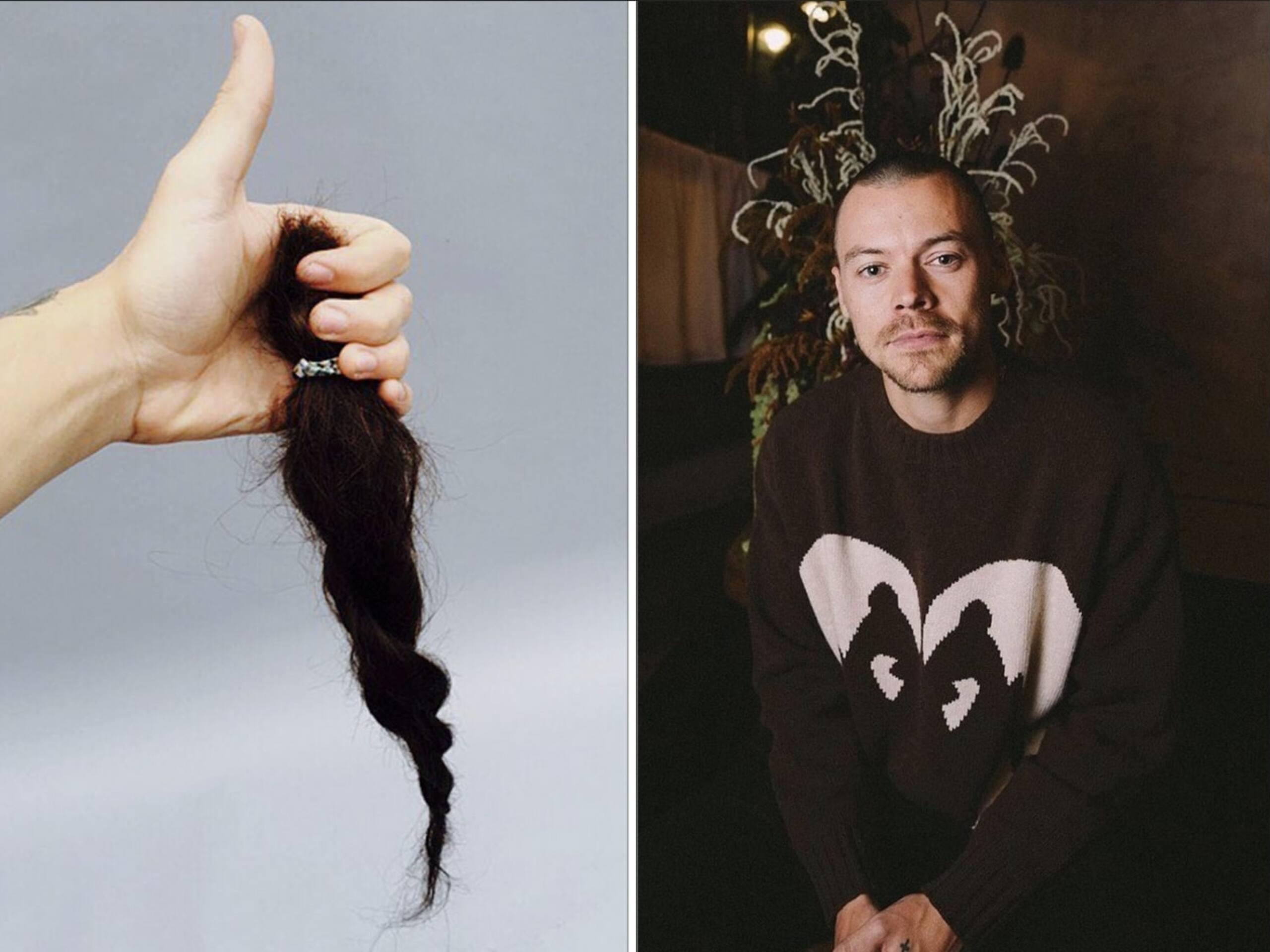 La raison psychologique aux cheveux d'Harry Styles