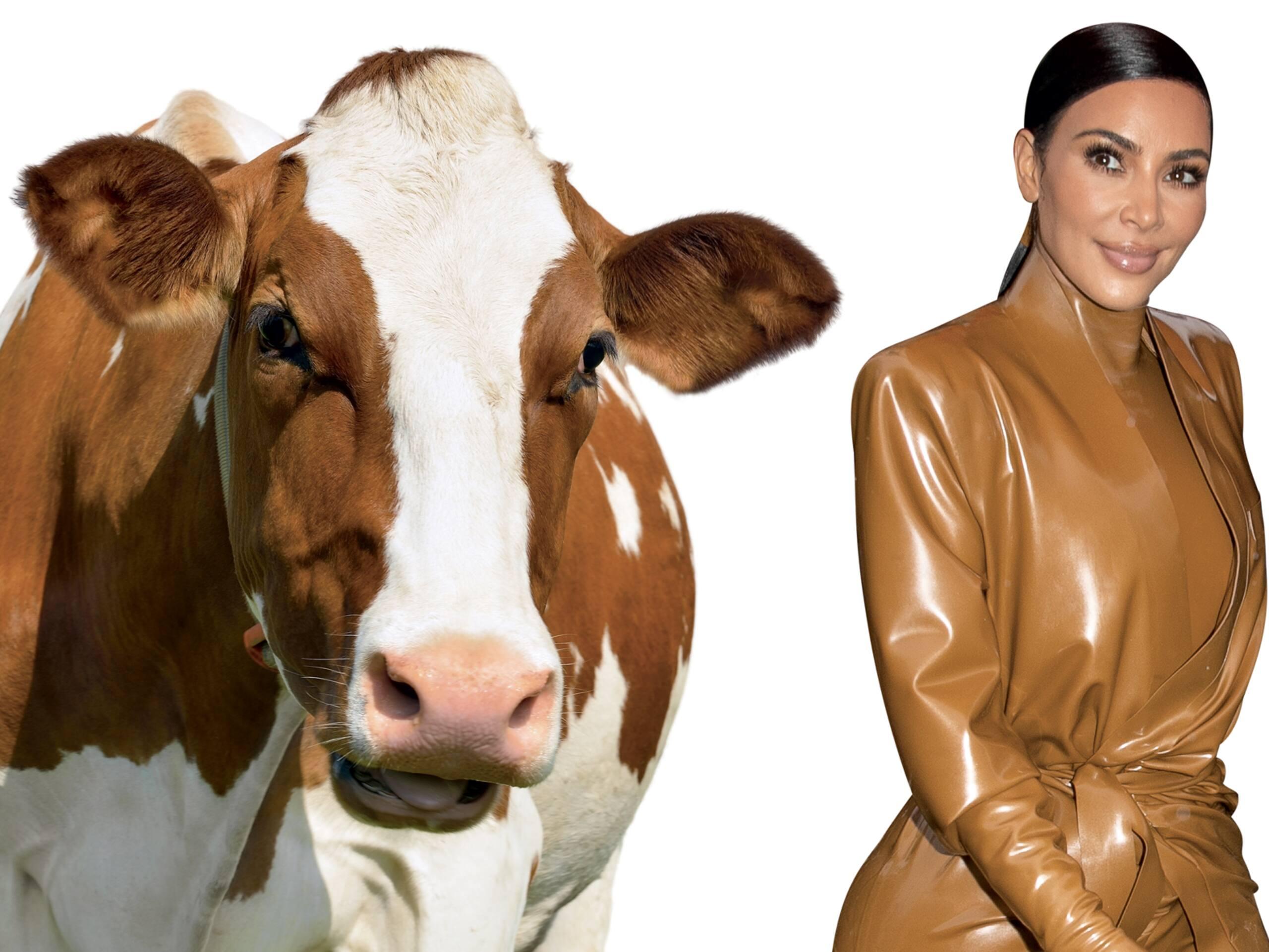 Une vache nommée en l'honneur de Kim Kardashian