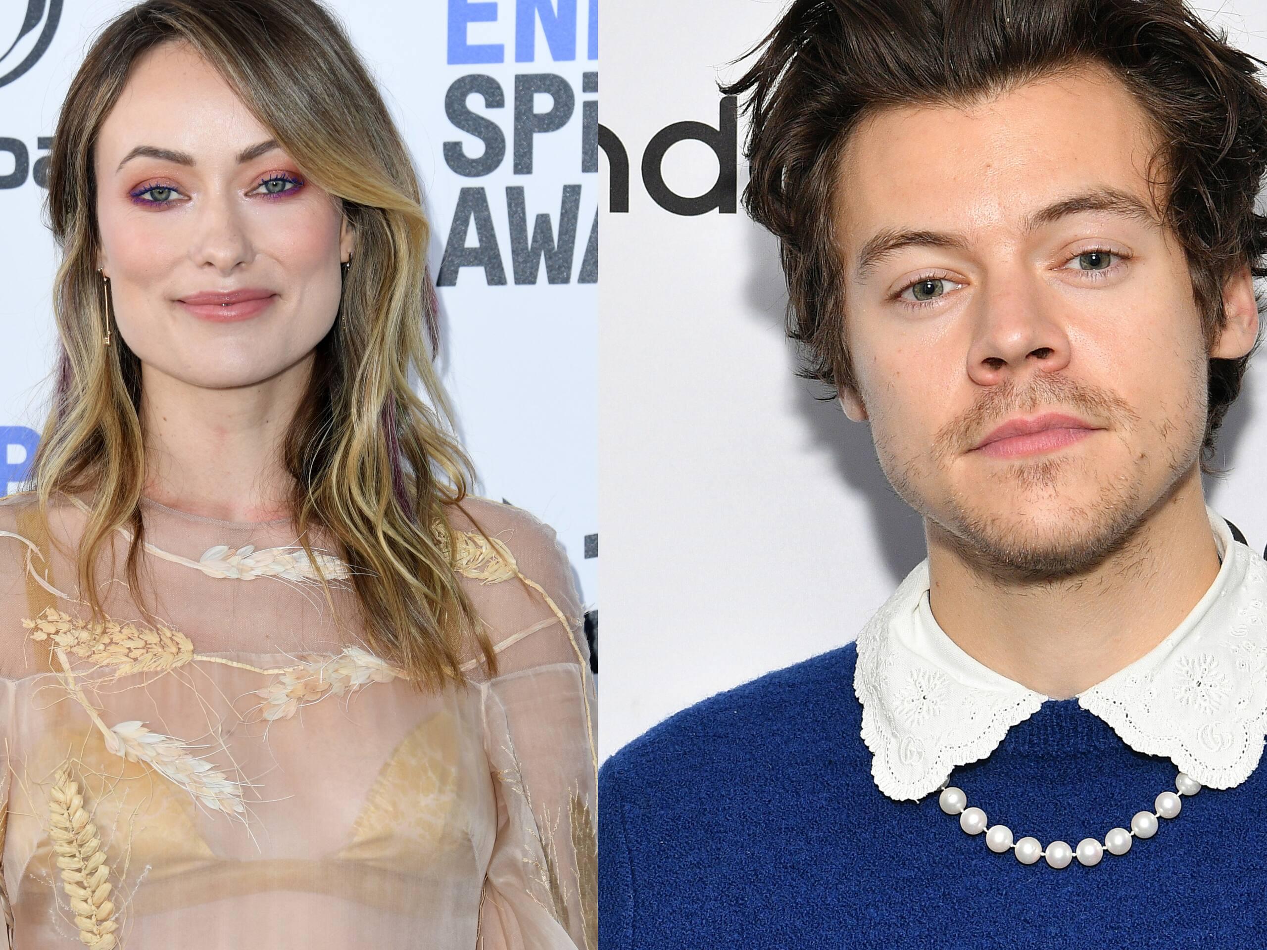 Harry Styles et Olivia Wilde en couple?