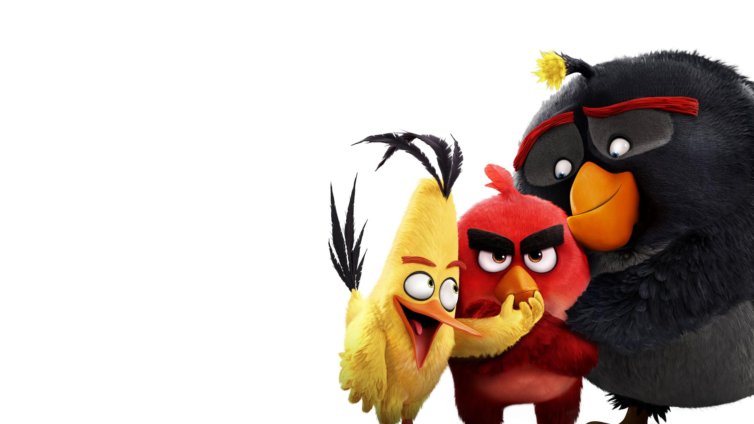 Angry birds: le film