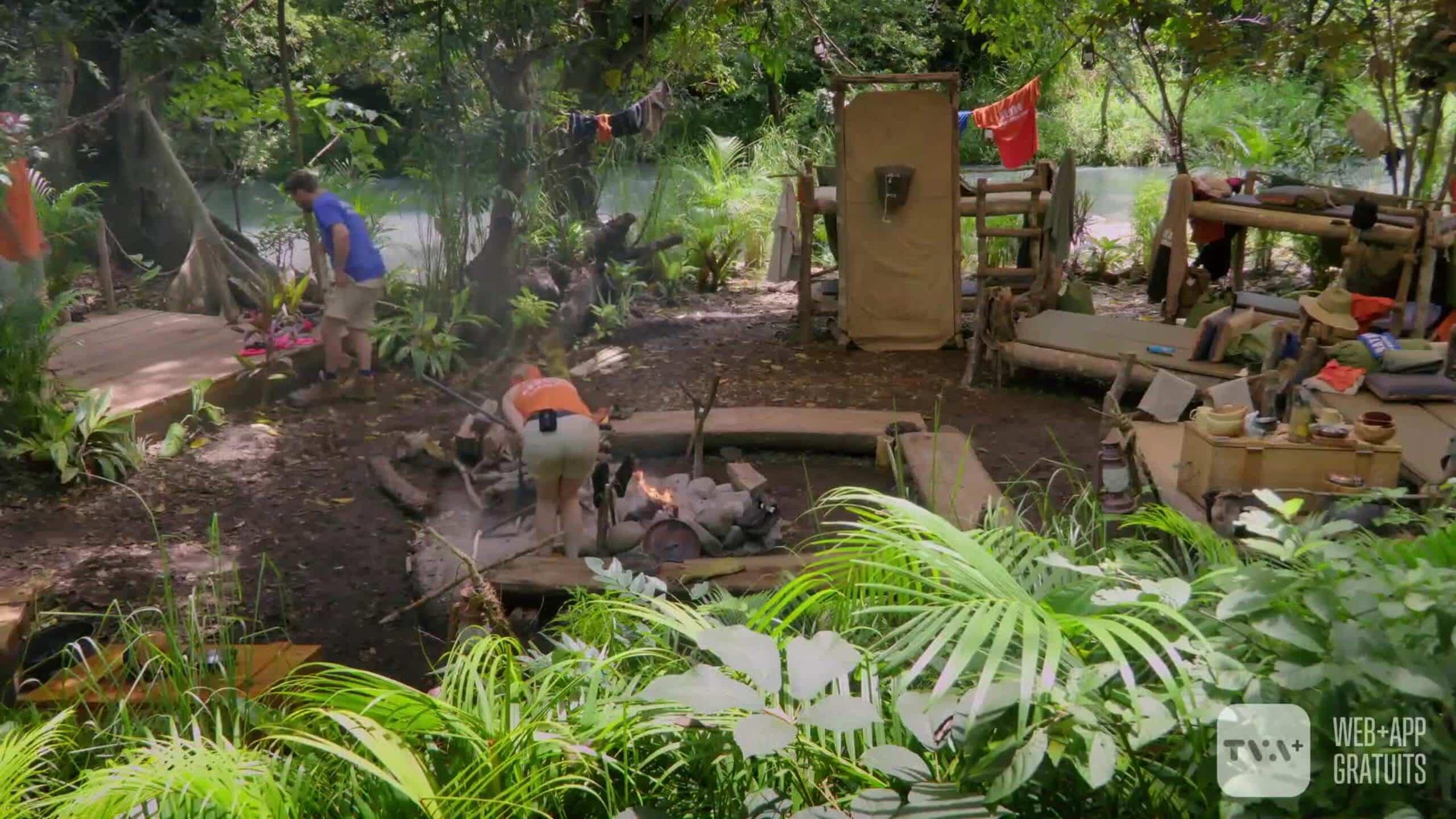 Le gym de la jungle